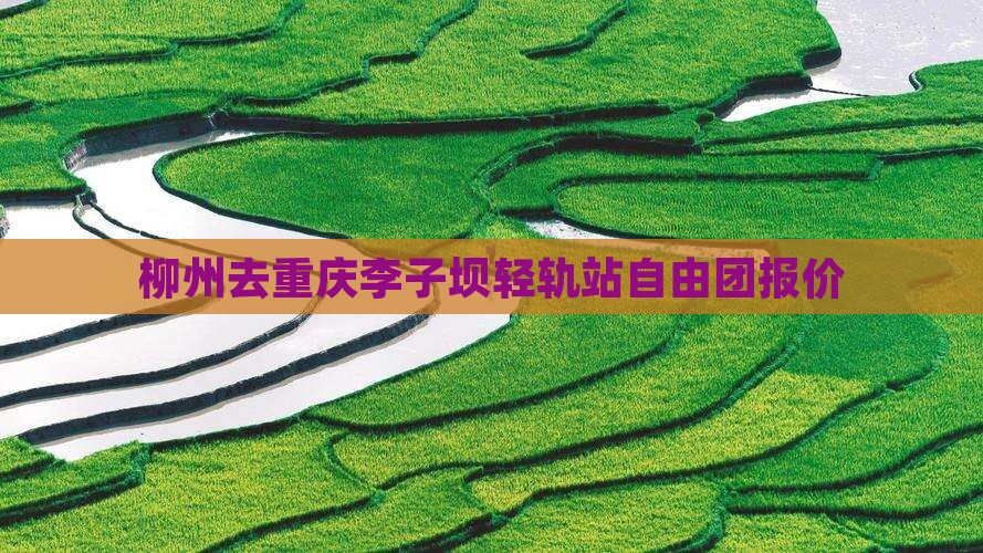 柳州去重庆李子坝轻轨站自由团