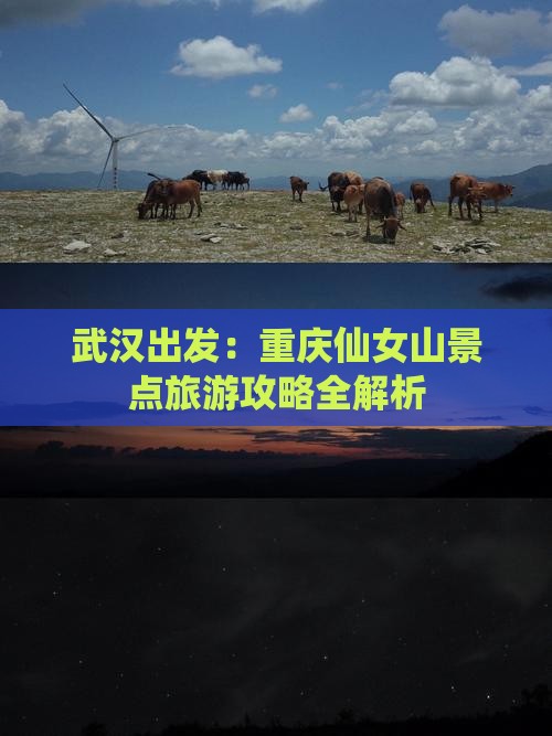 武汉去重庆仙女山景点