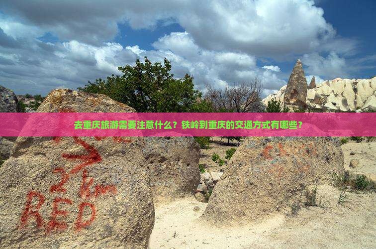 铁岭去重庆旅游