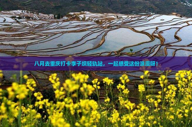 八月去重庆李子坝轻轨站自由团