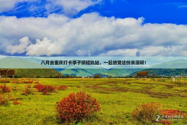 八月去重庆李子坝轻轨站自由团
