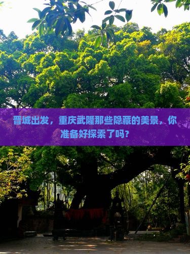 晋城去重庆武隆哪里玩