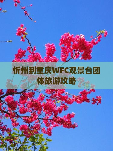 忻州到重庆wfc观景台团体旅游