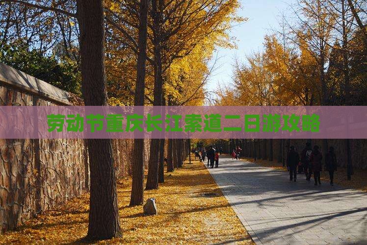 劳动节到重庆长江索道二日游