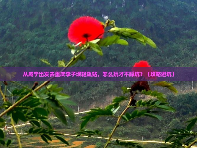 咸宁去重庆李子坝轻轨站自由行