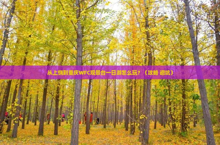 上饶到重庆wfc观景台一日