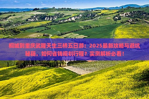 桐城到重庆武隆天生三桥五日游