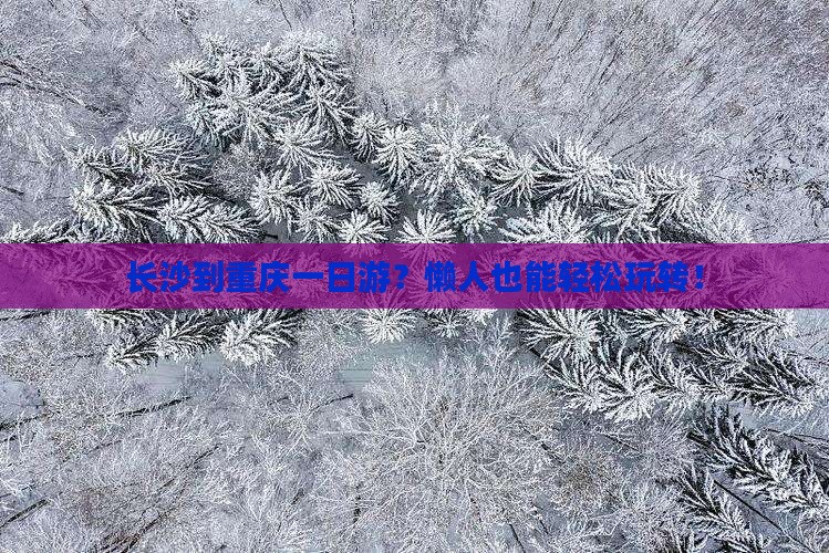 长沙到重庆一日