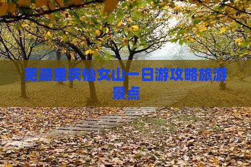 芜湖去重庆仙女山一日