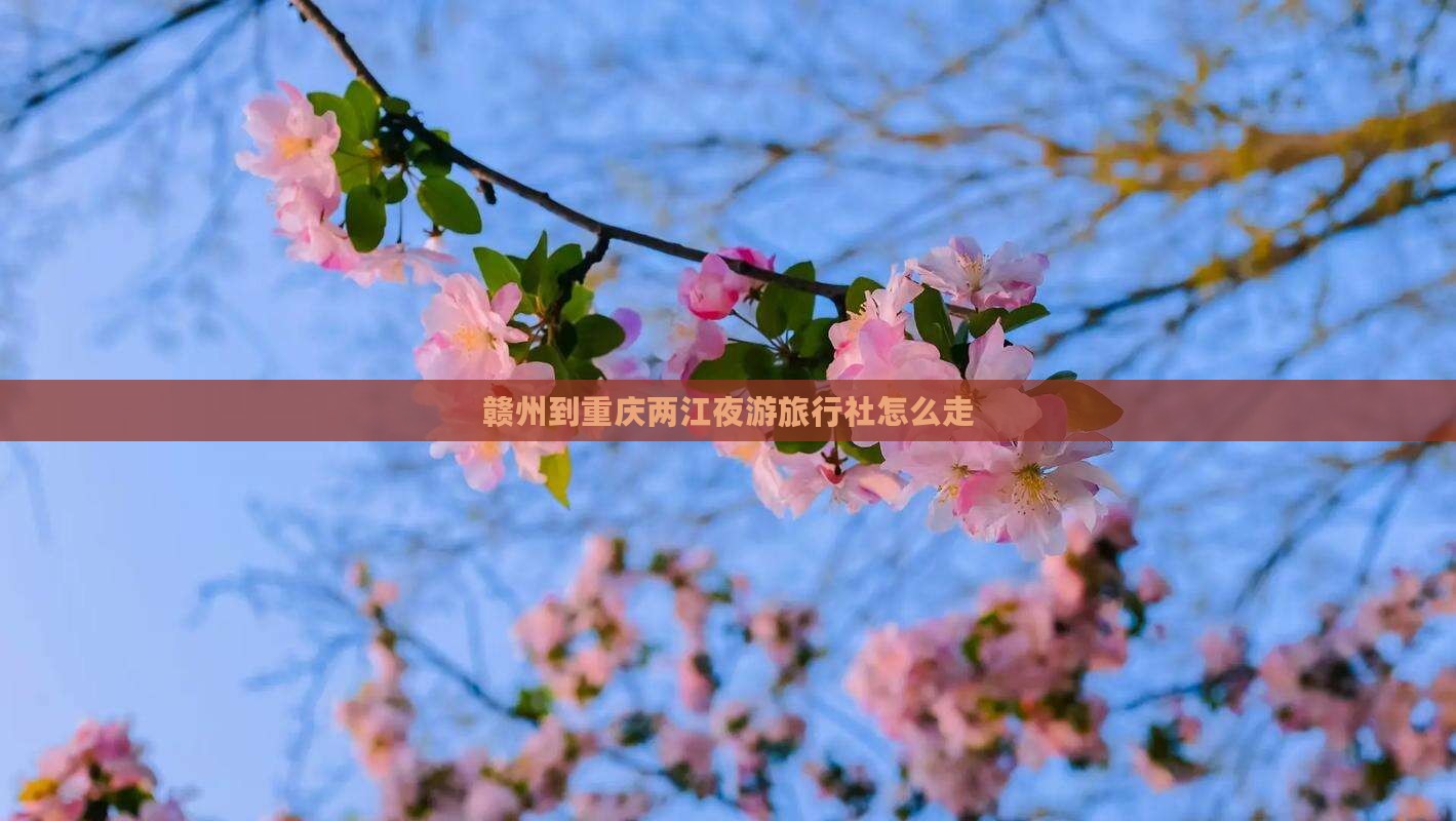 赣州到重庆两江夜游旅行社