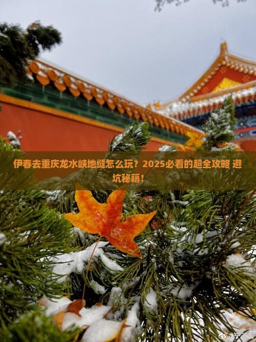伊春去重庆龙水峡地缝攻略