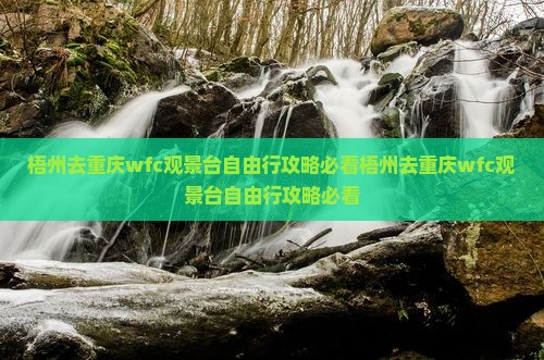 梧州去重庆wfc观景台自由行