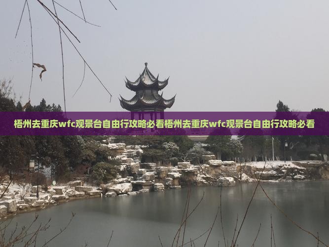 梧州去重庆wfc观景台自由行