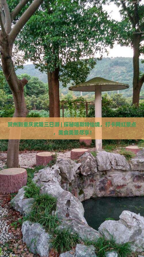 贺州到重庆武隆三日游