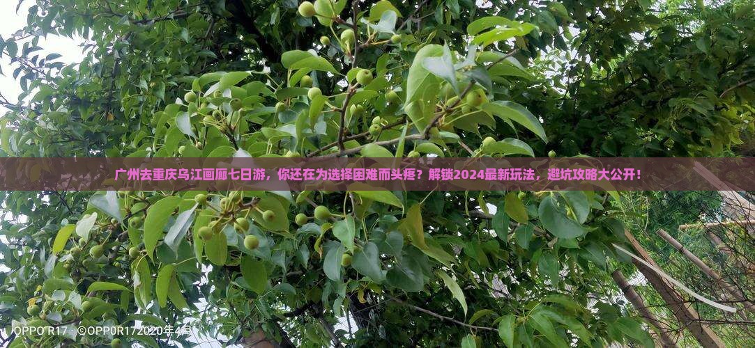 广州去重庆乌江画廊七日游