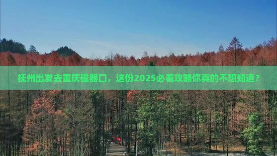抚州去重庆磁器口攻略