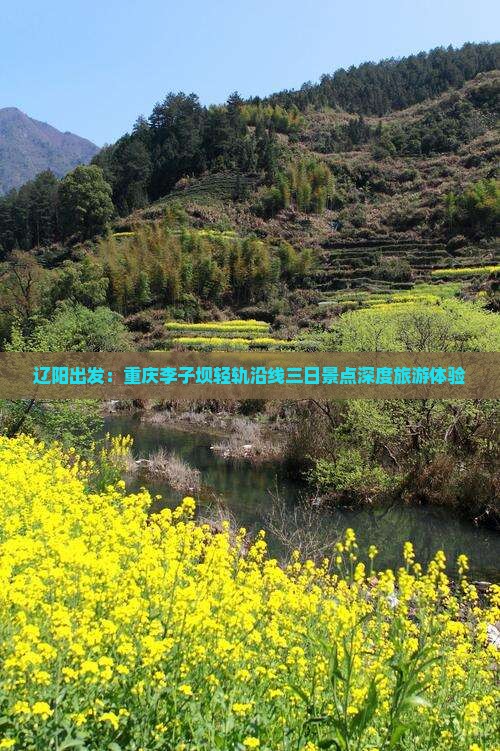 辽阳出发：重庆李子坝轻轨沿线三日景点深度旅游体验