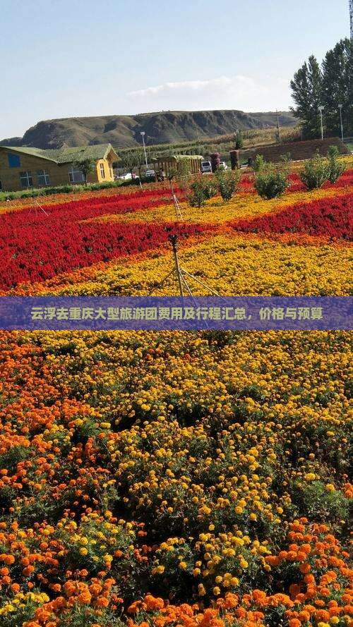 云浮去重庆大型旅游团费用及行程汇总，价格与预算
