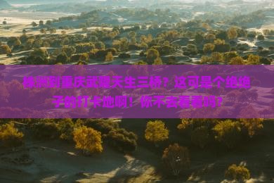 株洲到重庆武隆天生三桥必去地