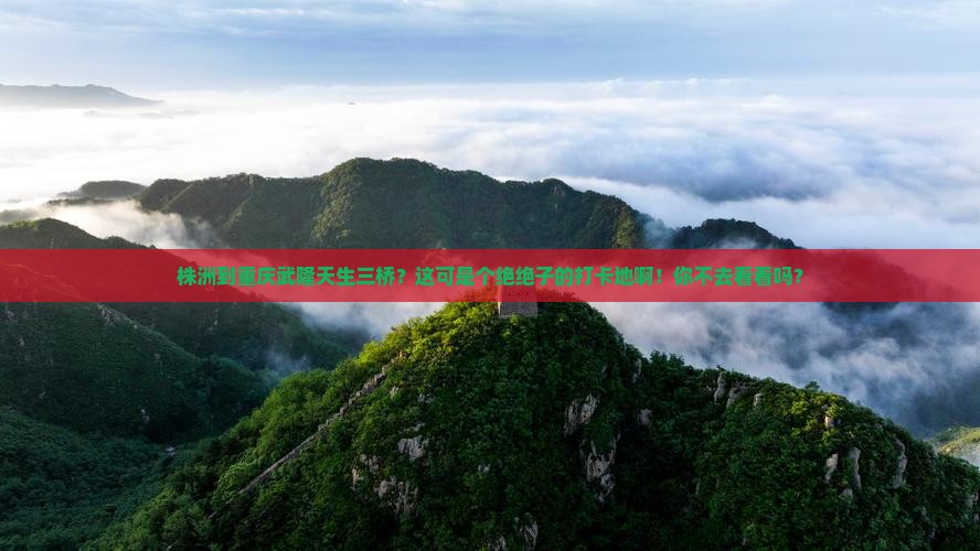 株洲到重庆武隆天生三桥必去地