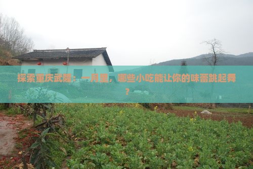 一月到重庆武隆旅游小吃