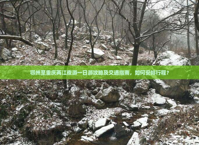 鄂州到重庆两江夜游一日