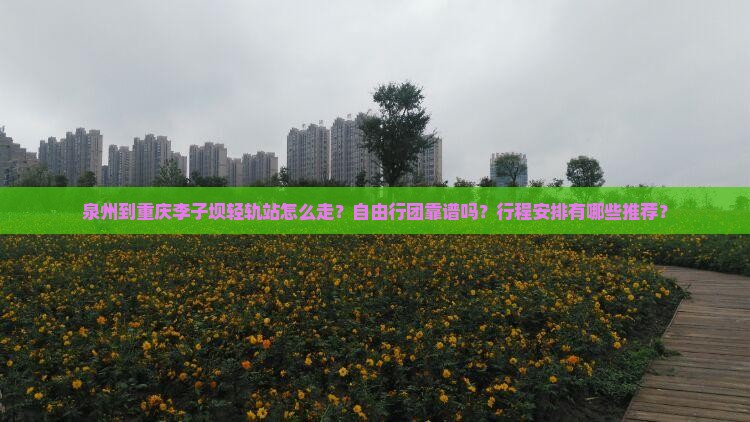 泉州到重庆李子坝轻轨站自由团