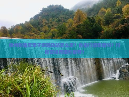泉州到重庆李子坝轻轨站自由团