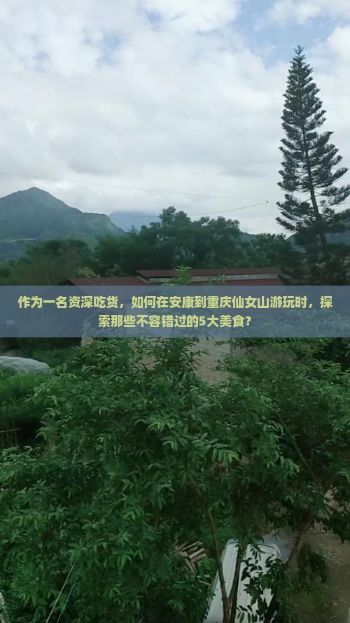 安康到重庆仙女山旅游小吃