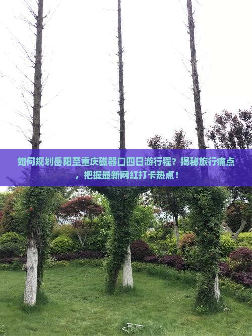岳阳到重庆磁器口四日游