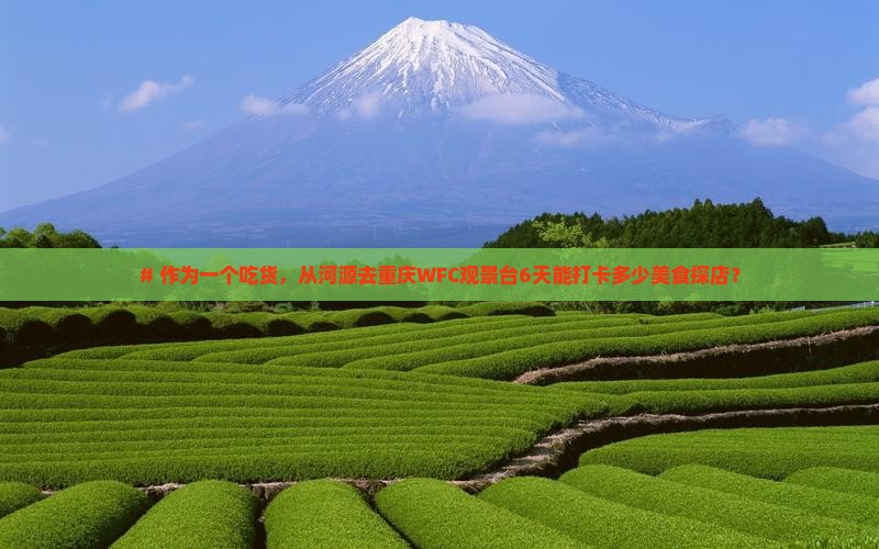 河源到重庆wfc观景台六日游