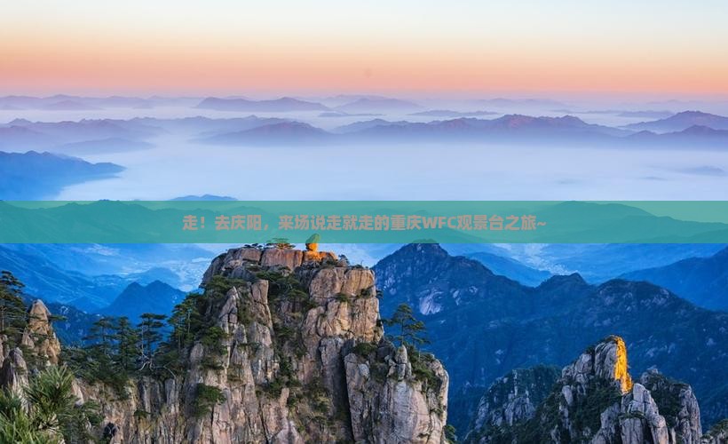庆阳去重庆wfc观景台一日