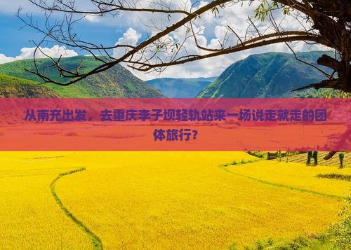 南充到重庆李子坝轻轨站团体旅游