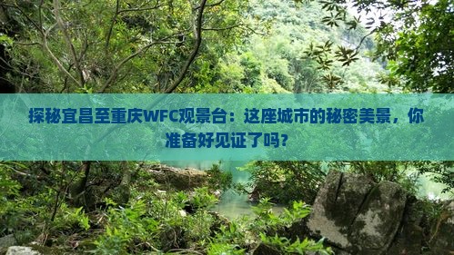 宜昌到重庆wfc观景台必去地