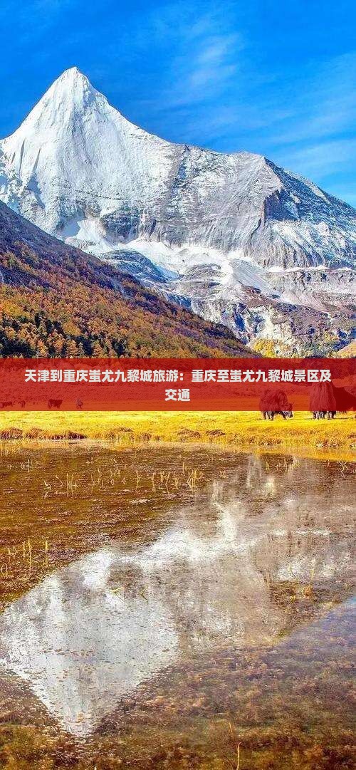 天津到重庆蚩尤九黎城旅游
