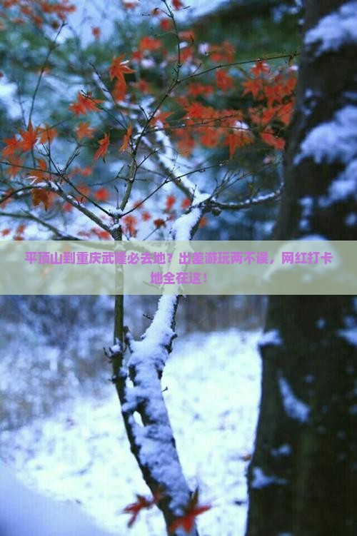 平顶山到重庆武隆必去地
