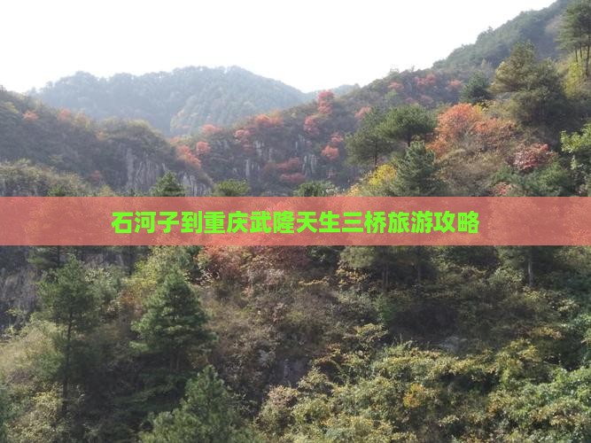 石河子到重庆武隆天生三桥团体旅游