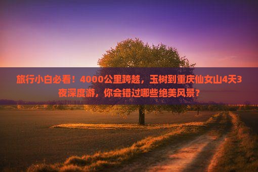 玉树去重庆仙女山四日游