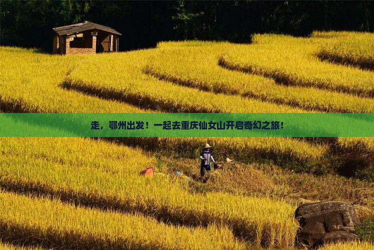鄂州去重庆仙女山旅行社