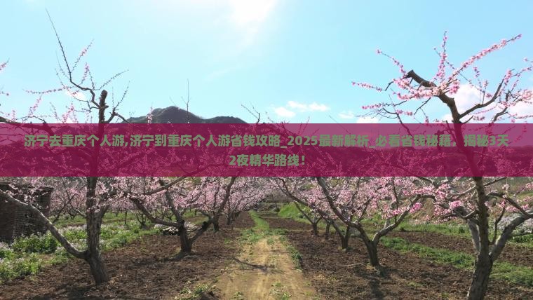 济宁去重庆个人游