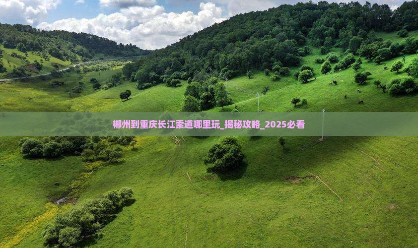 郴州到重庆长江索道哪里玩 郴州到重庆长江索道哪里玩