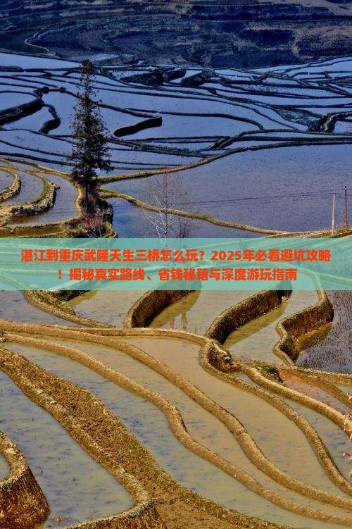 湛江到重庆武隆天生三桥旅行社 湛江到重庆武隆天生三桥旅行社