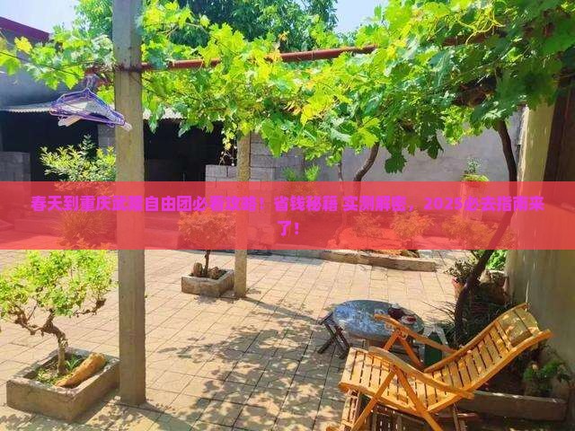 春天到重庆武隆自由团