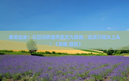 泰安到重庆蚩尤九黎城三日游