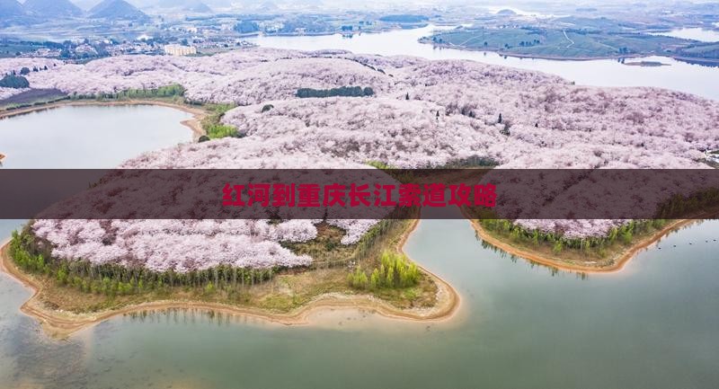 红河到重庆长江索道自由团