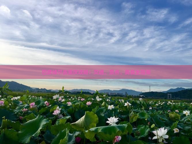 巴彦倬尔去重庆攻略