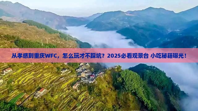 孝感去重庆wfc观景台旅游小吃