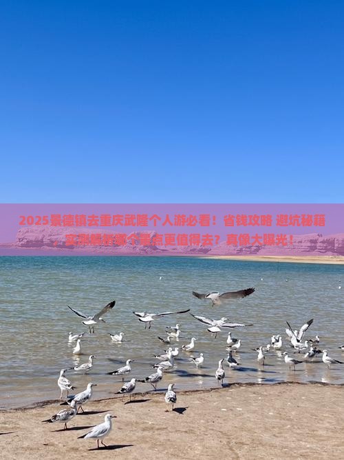 景德镇去重庆武隆个人游
