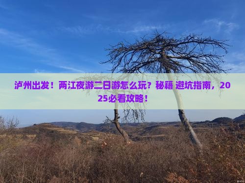 泸州到重庆两江夜游二日游