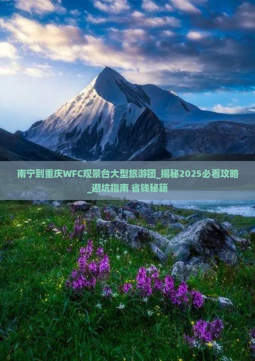 南宁到重庆wfc观景台大型旅游团